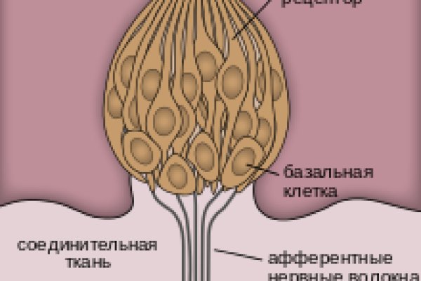 Bs актуальная ссылка