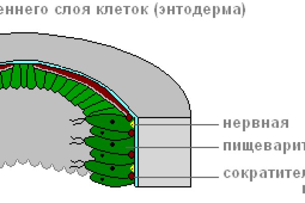 Black sprut ссылка