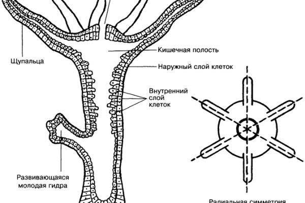 Блэкспрут ссылка blacksprut page