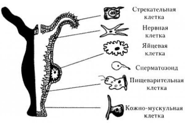 Блэкспрут зеркало bs2me run