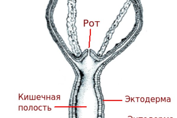 Актуальные ссылки блэкспрут blacksprut 2 web in