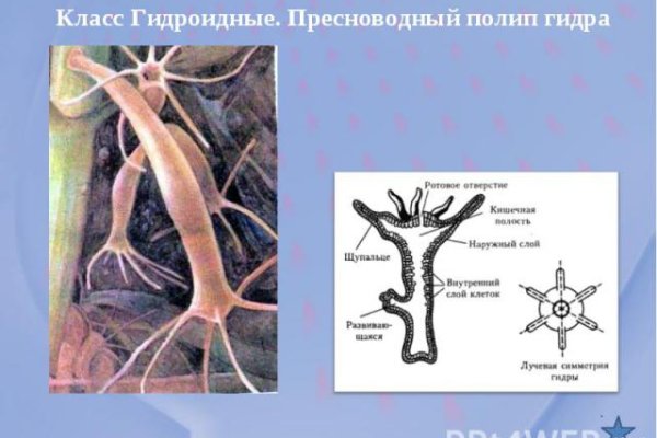 Bs знакомства официальный сайт