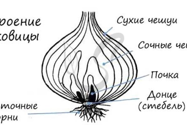 Рабочая ссылка блэкспрут тор